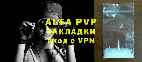 индика Абинск
