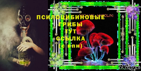 ПСИЛОЦИБИНОВЫЕ ГРИБЫ Абдулино